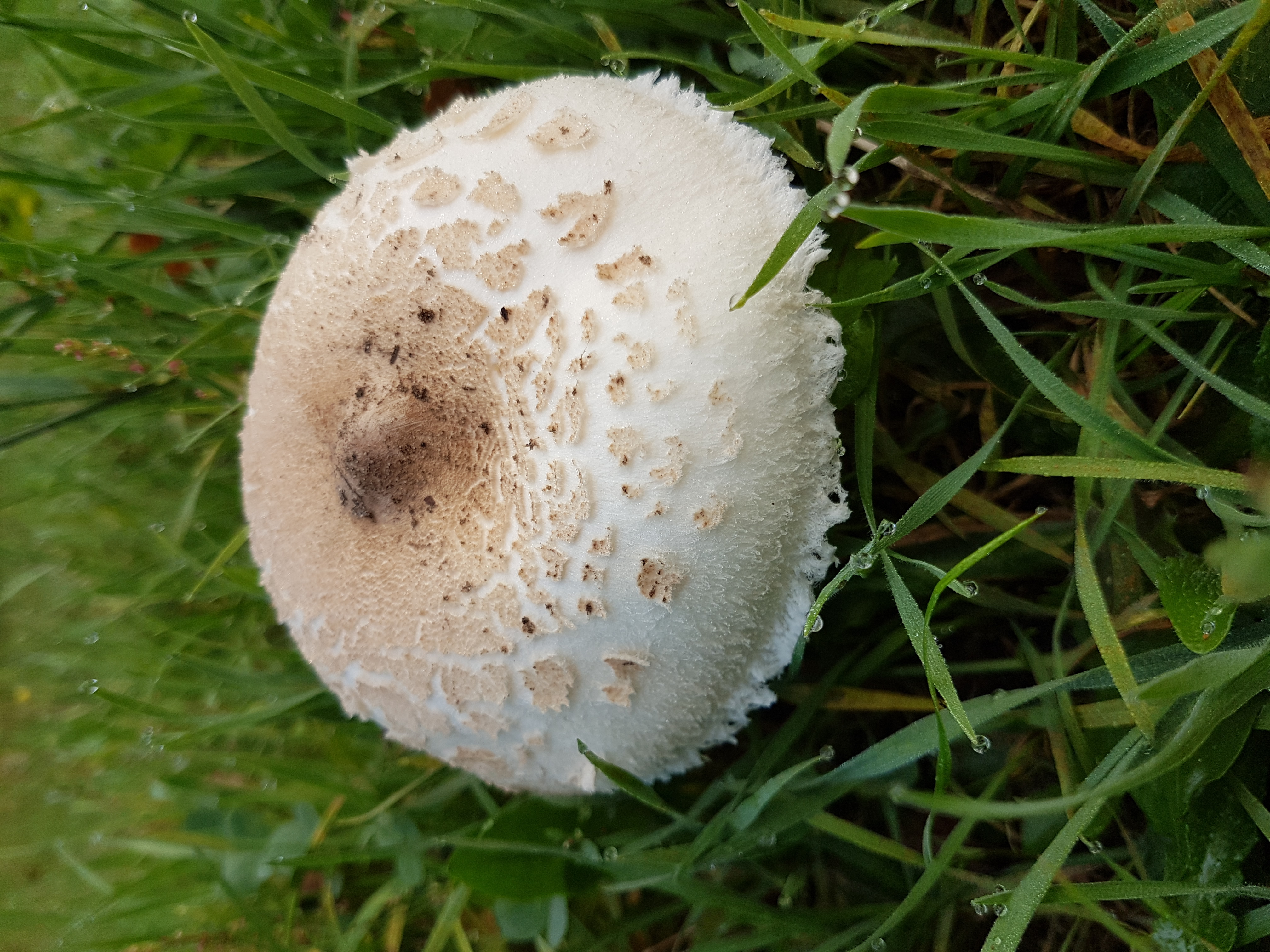 20170927_080941_001