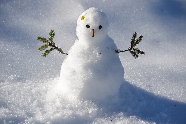 snow-man-1227476_640